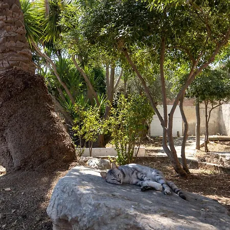 Torre Cappavecchia Villa *